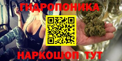 гидра Конаково