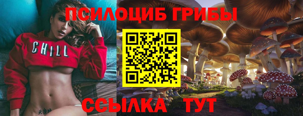 Чистополь  где продают наркотики  Вход с VPN  Галлюциногенные грибы ЛСД  Псилоцибиновые грибы Magic Shrooms 